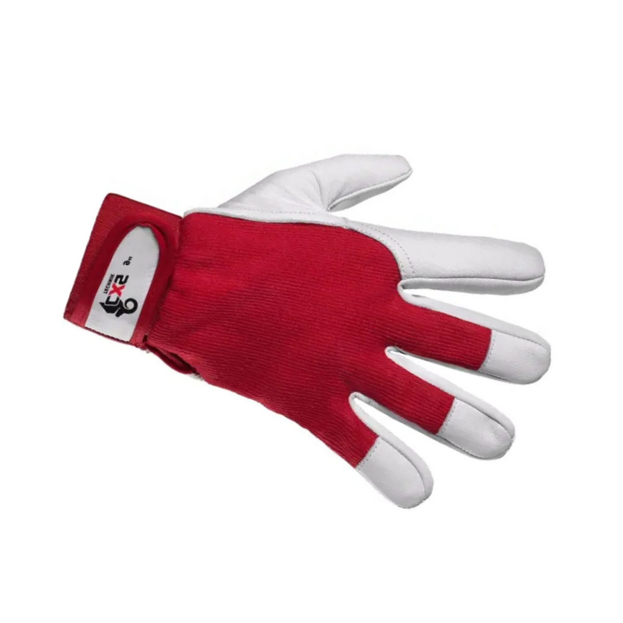 Manusi de lucru Technik